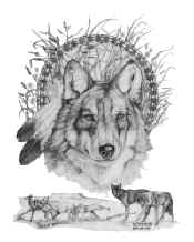 Prairie Wolf Graphite